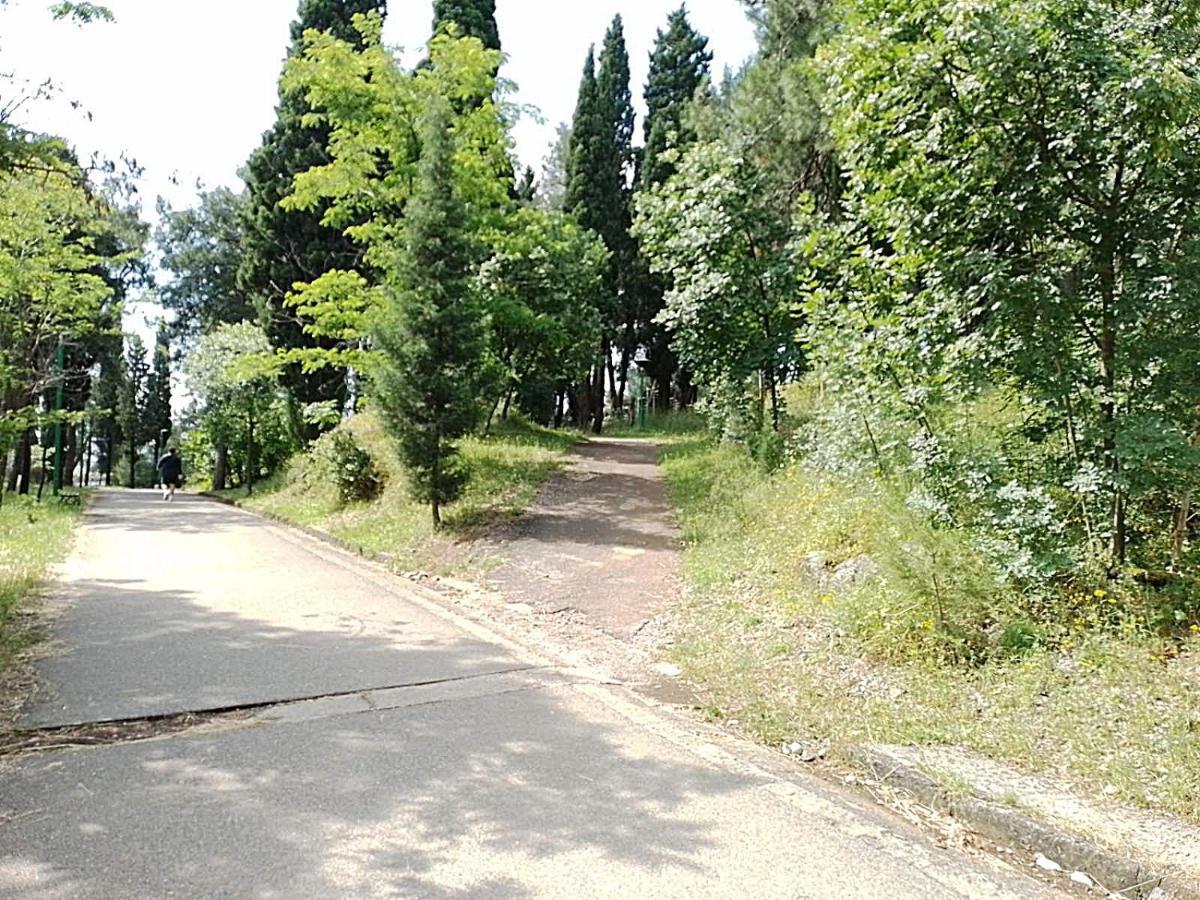 Renta Apartman Podgorica Exteriör bild